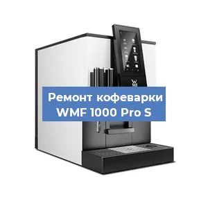 Чистка кофемашины WMF 1000 Pro S от накипи в Волгограде